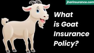 Goat Insurance Policy